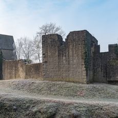 Winterquartiere der Mopsfledermaus bei Neustadt