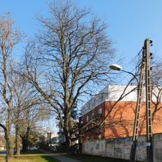 4A Potrzebna Street in Warsaw