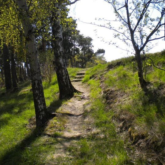 Mesolithischer Bestattungsplatz von Groß Fredenwalde