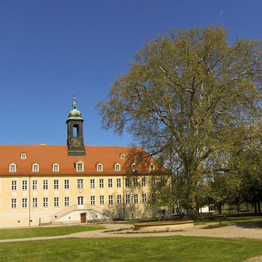 Naturdenkmal Platane  hinter dem Elsterschlossgymnasium; Flur 10, Flurstück 637 in Elsterwerda