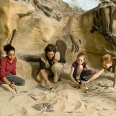 Discovery Depot at Nature's Art Village