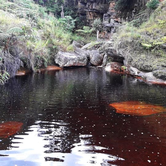 San José de Lourdes District