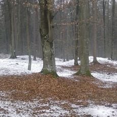 Hügelgräberfeld Giging