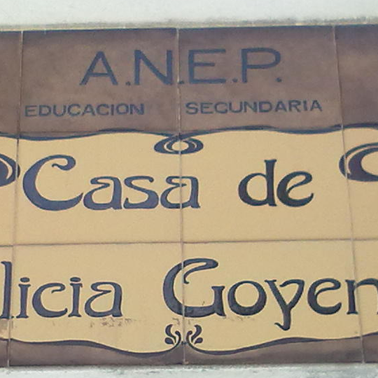 Cátedra Alicia Goyena