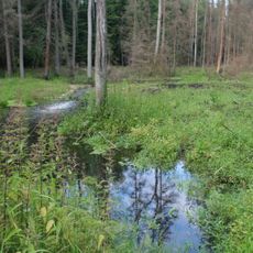 Nature reserve Góra Pieszczana