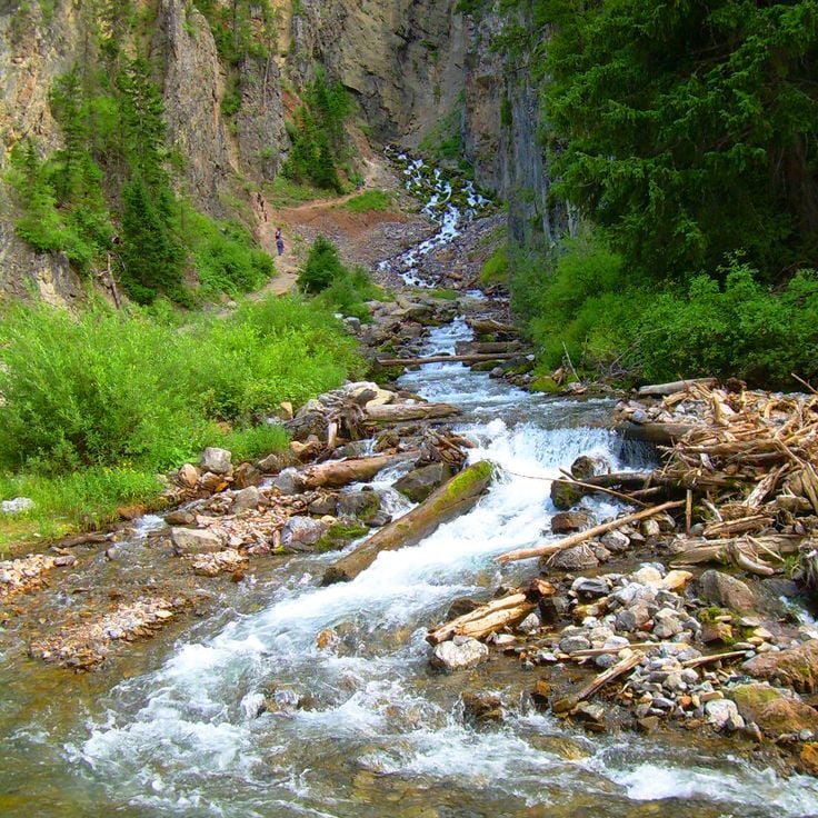 The Intermittent Spring