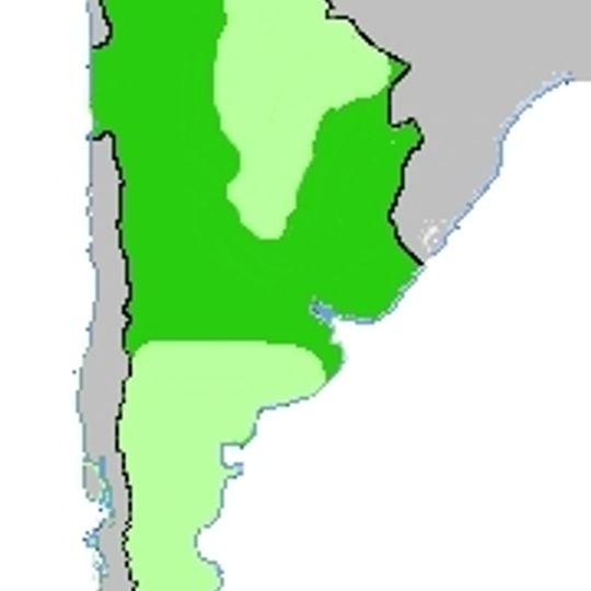 Viceroyalty of the Río de la Plata
