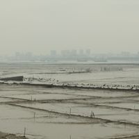 Dongshi Town (Jinjiang City)