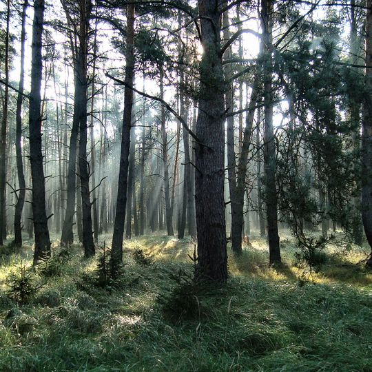 Przemęt Landscape Park