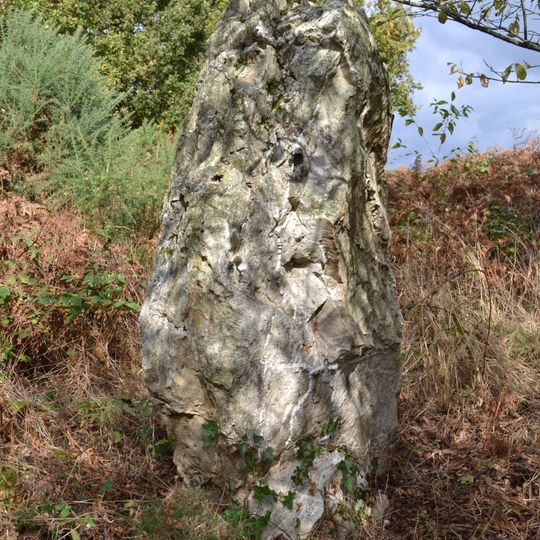 Menhir de Cohardais