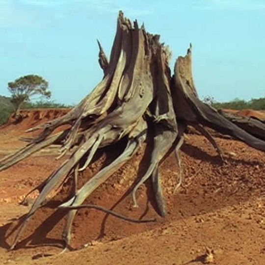 Sarigua National Park