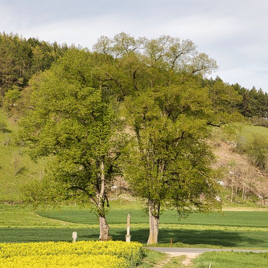 2 Linden Grabenäcker