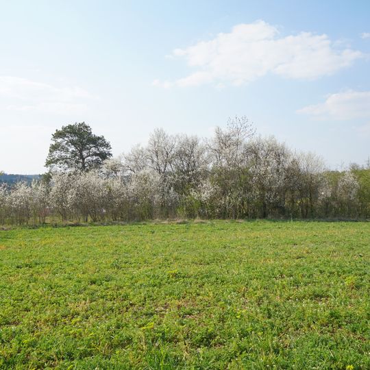 Halbtrockenrasen u. Linden-, Pappelallee