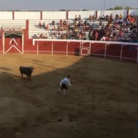 Plaza de toros de Zarza la Mayor