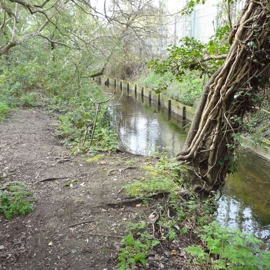 Sir Joseph Hood Memorial Wood