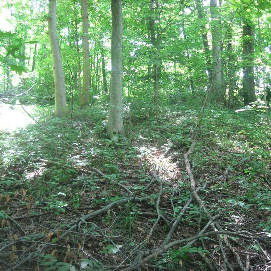 Hillside Haven Mound