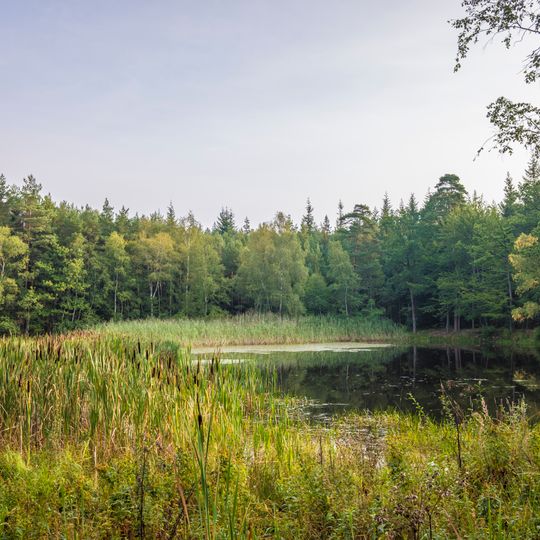 Bundorfer Wald und Quellbäche der Baunach