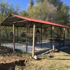 Chapel of the Protection of the Theotokos