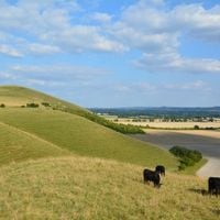 Wiltshire