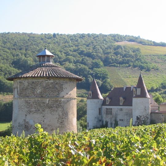 Château de La Palud