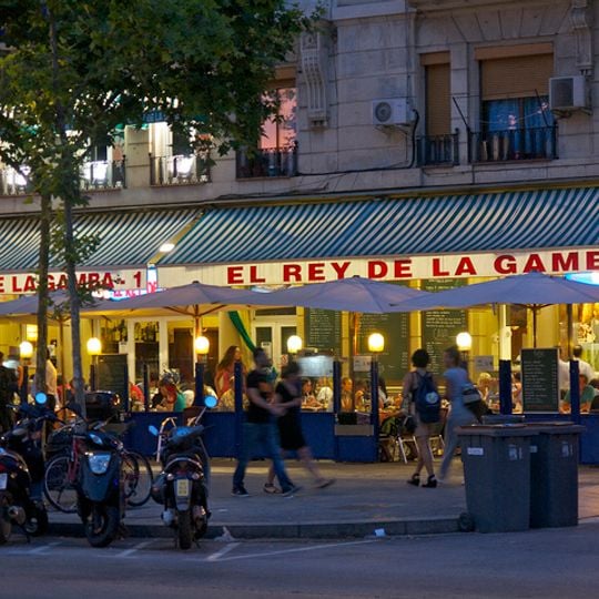 El Rey de la Gamba