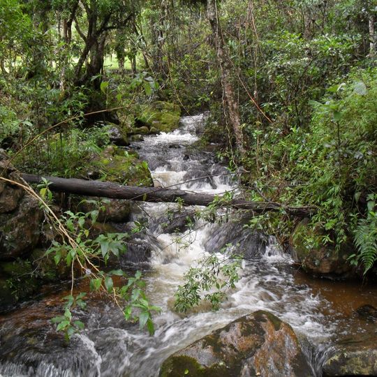 Iguaque Fauna and Flora Sanctuary