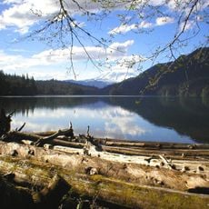 Packwood Lake
