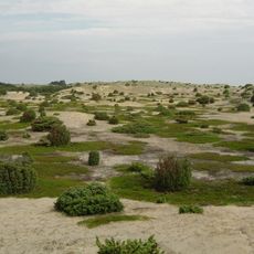 Natura 2000-område nr. 46 Anholt og havet nord for