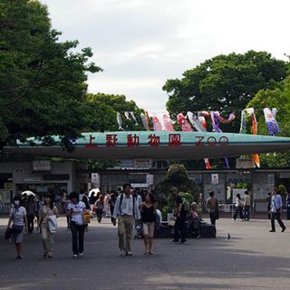 Ueno Zoo