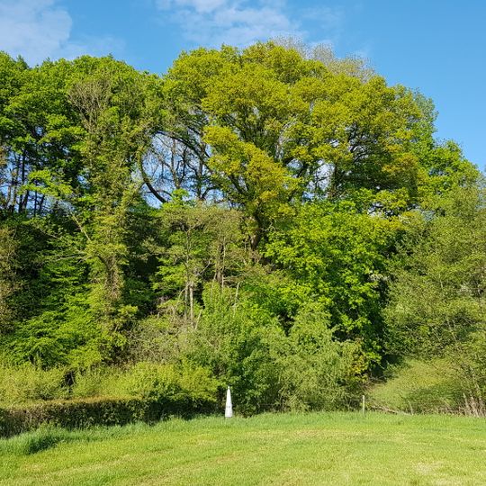 Belgium-Netherlands boundary stone no. 17