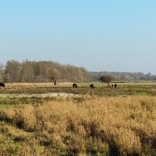 NABU Nature Center Katinger Watt