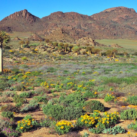 Succulent Karoo