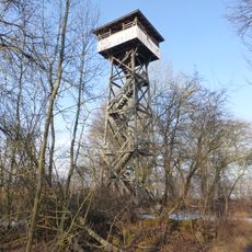 Mettnau-Turm