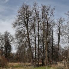 Парк (Федоровское)