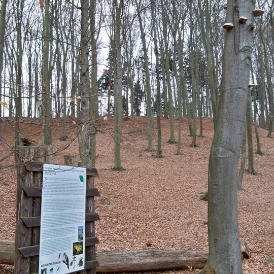 Nature reserve Nad Jeziorem Trześniowskim