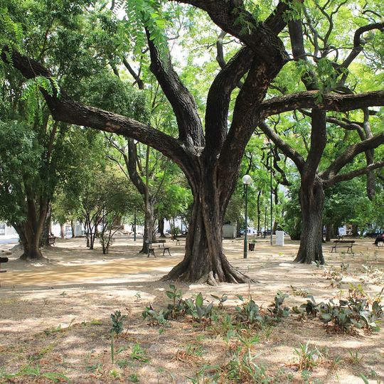 Santos Garden