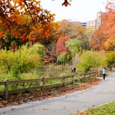 Alley Pond Park
