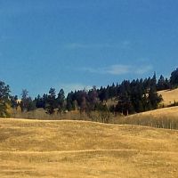 district régional de Thompson-Nicola