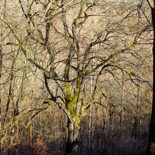 Břek u Horního hradu