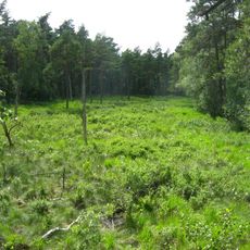 Dänschenburger Moor und Teufelsmoor bei Gresenhorst