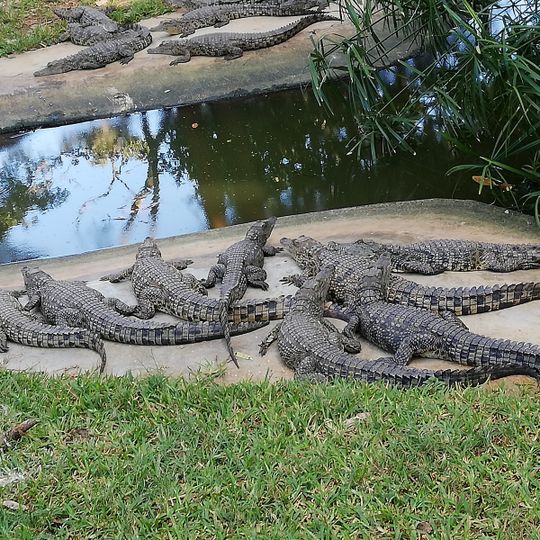 Kalimba Reptile Park