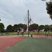 Araignée