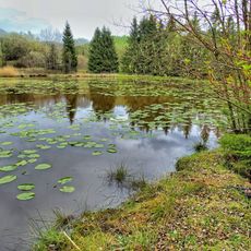 Grubengelände und Wälder bei Burgholdinghausen