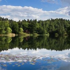 Biotopo Prà dell'Albi-Cei