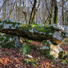 Pierre de Saint-Maximin