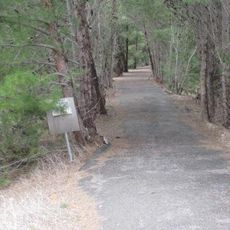 Rattler Rail Trail