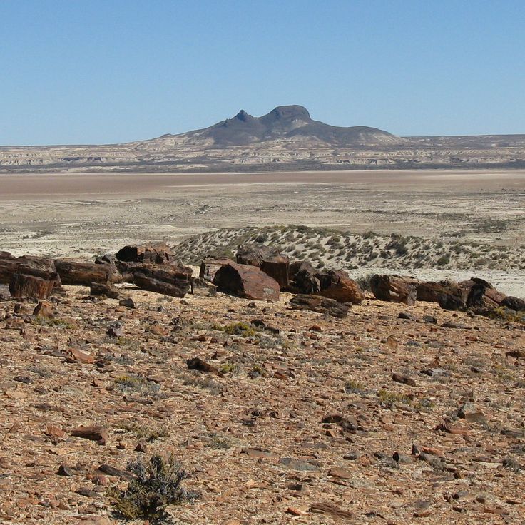 Jaramillo Geological Preserve