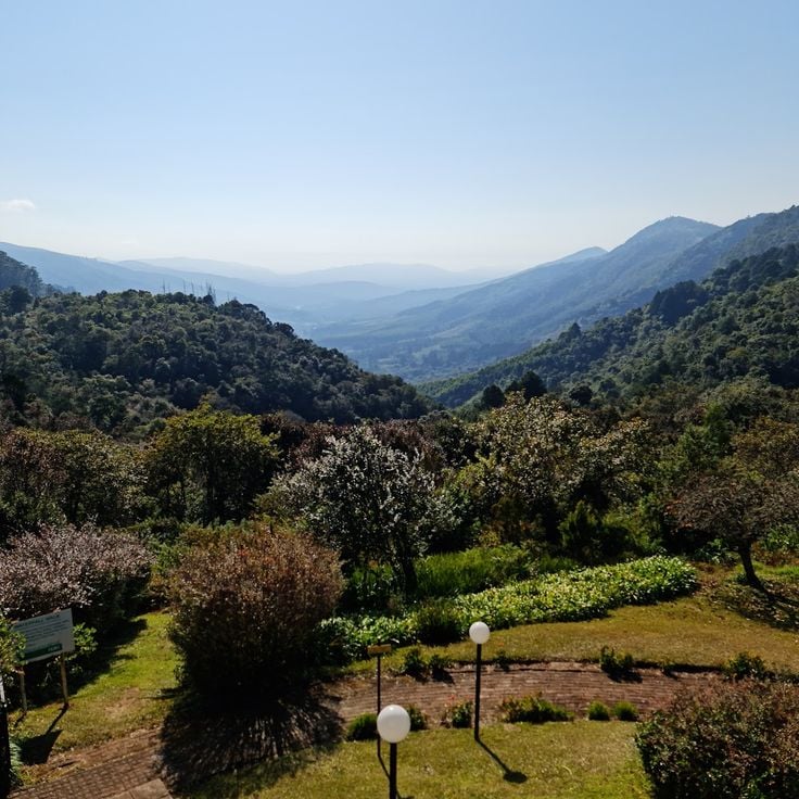 Magoebaskloof