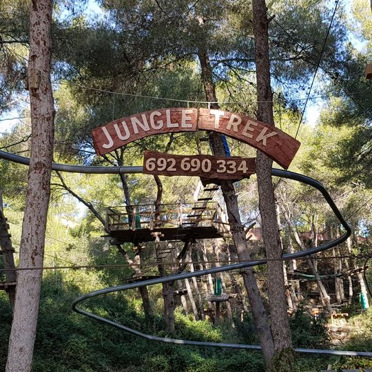 Jungle Trek