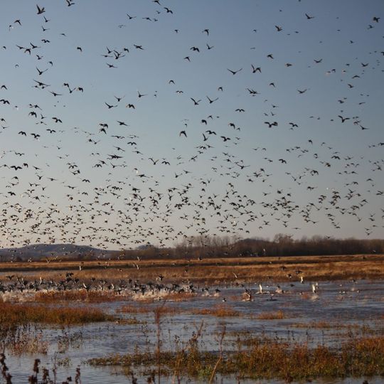 Clarence Cannon National Wildlife Refuge